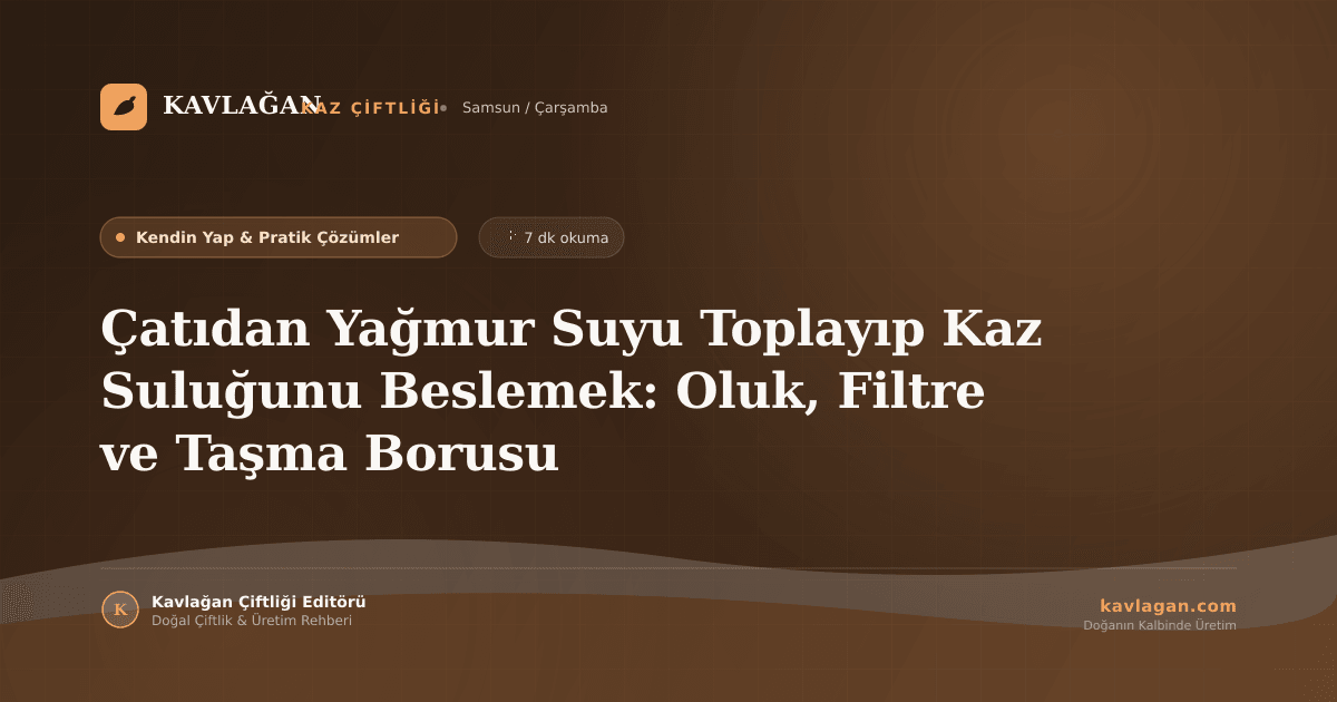 Çatıdan Yağmur Suyu Toplayıp Kaz Suluğunu Beslemek: Oluk, Filtre ve Taşma Borusu