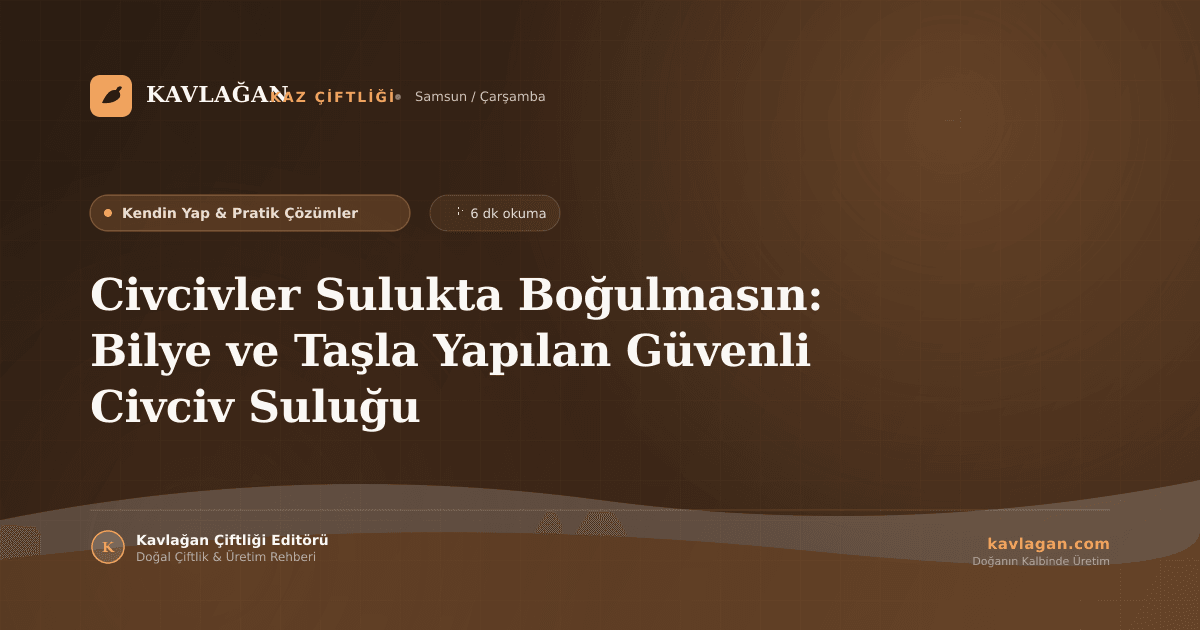 Civcivler Sulukta Boğulmasın: Bilye ve Taşla Yapılan Güvenli Civciv Suluğu