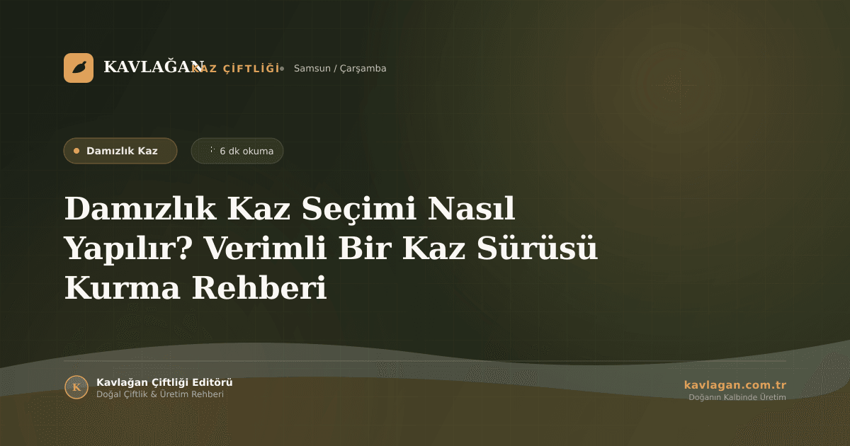 Damızlık Kaz Seçimi Nasıl Yapılır? Verimli Bir Kaz Sürüsü Kurma Rehberi