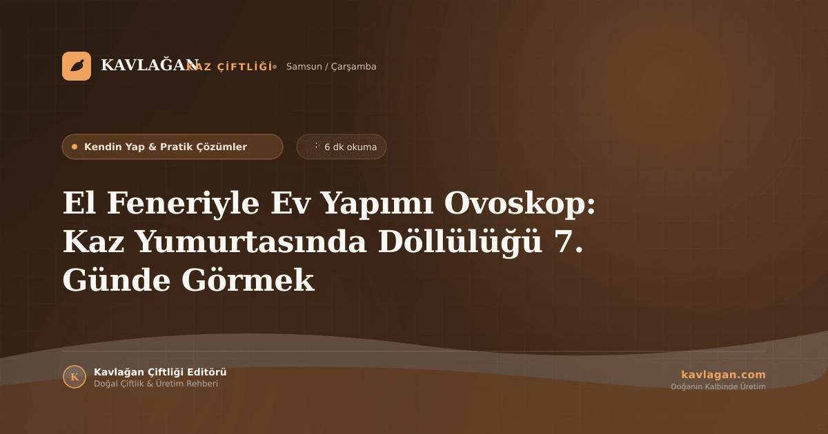 El Feneriyle Ev Yapımı Ovoskop: Kaz Yumurtasında Döllülüğü 7. Günde Görmek