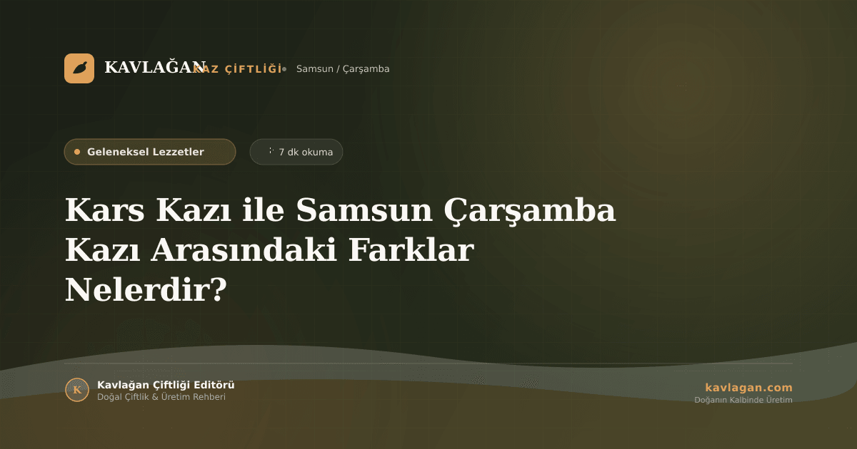 Kars Kazı ile Samsun Çarşamba Kazı Arasındaki Farklar Nelerdir?