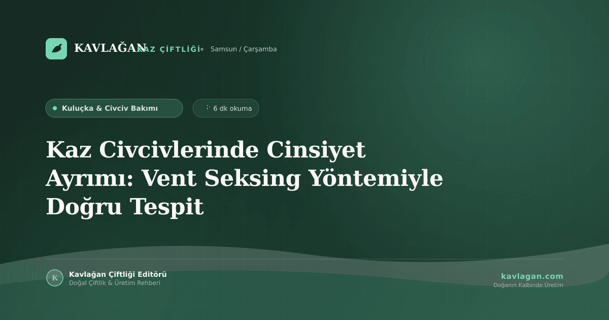 Kaz Civcivlerinde Cinsiyet Ayrımı: Vent Seksing Yöntemiyle Doğru Tespit