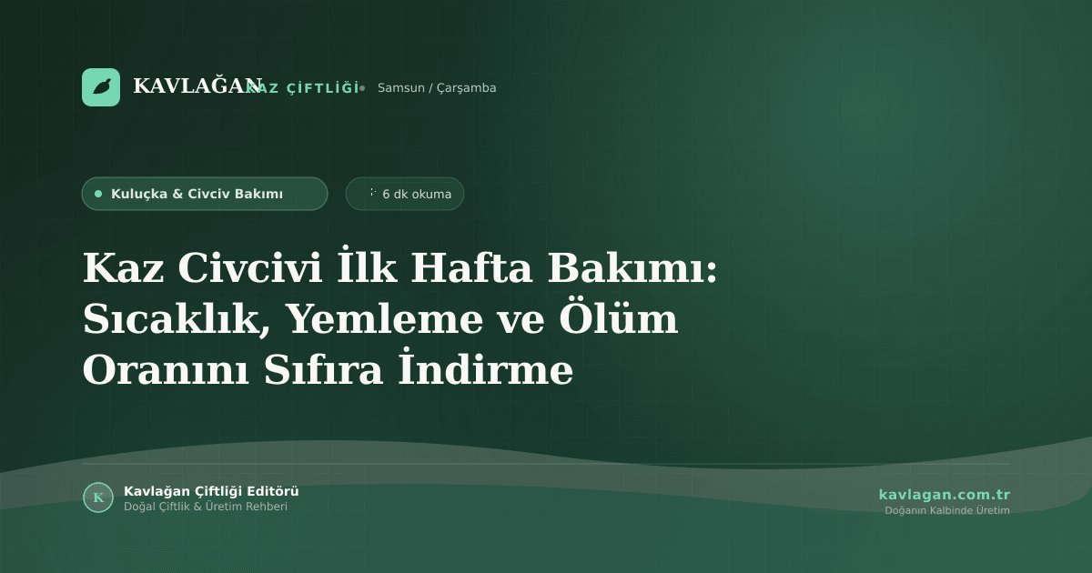 Kaz Civcivi İlk Hafta Bakımı: Sıcaklık, Yemleme ve Ölüm Oranını Sıfıra İndirme