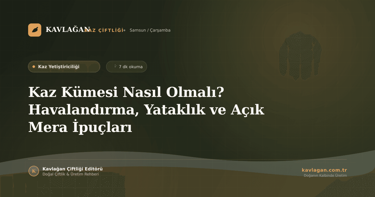 Kaz Kümesi Nasıl Olmalı? Havalandırma, Yataklık ve Açık Mera İpuçları