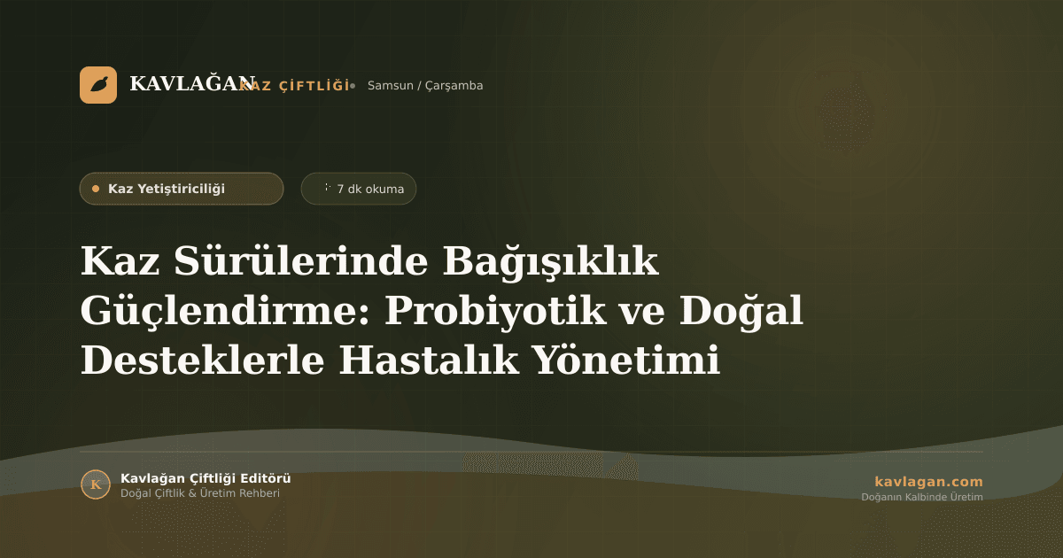 Kaz Sürülerinde Bağışıklık Güçlendirme: Probiyotik ve Doğal Desteklerle Hastalık Yönetimi