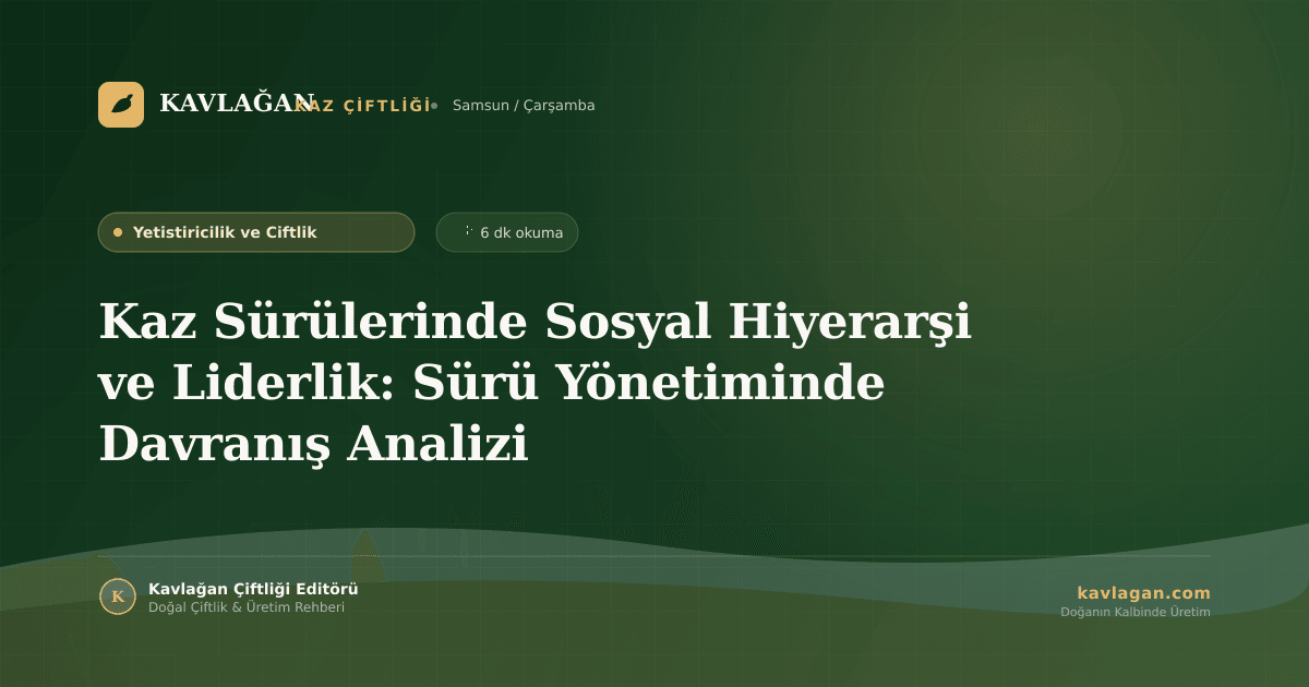 Kaz Sürülerinde Sosyal Hiyerarşi ve Liderlik: Sürü Yönetiminde Davranış Analizi
