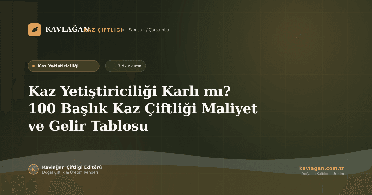 Kaz Yetiştiriciliği Karlı mı? 100 Başlık Kaz Çiftliği Maliyet ve Gelir Tablosu