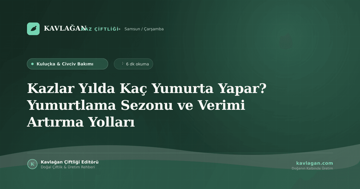 Kazlar Yılda Kaç Yumurta Yapar? Yumurtlama Sezonu ve Verimi Artırma Yolları