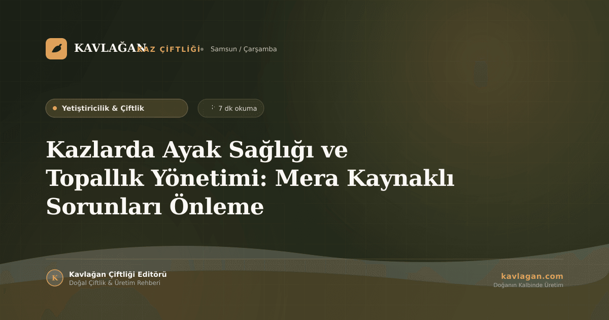 Kazlarda Ayak Sağlığı ve Topallık Yönetimi: Mera Kaynaklı Sorunları Önleme