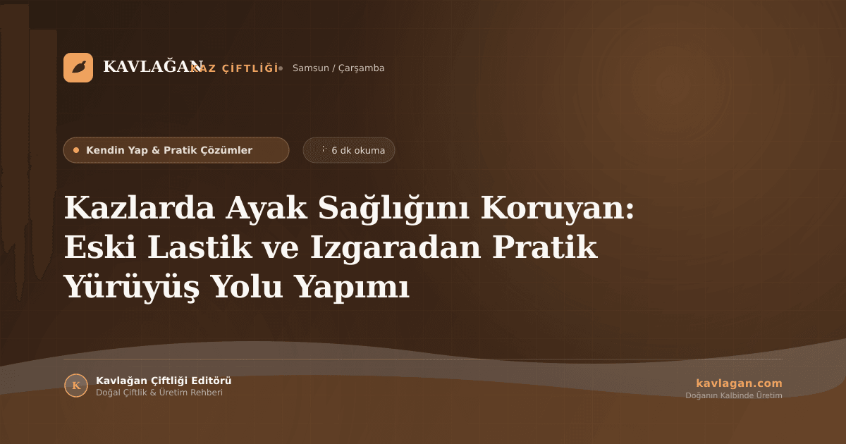 Kazlarda Ayak Sağlığını Koruyan: Eski Lastik ve Izgaradan Pratik Yürüyüş Yolu Yapımı