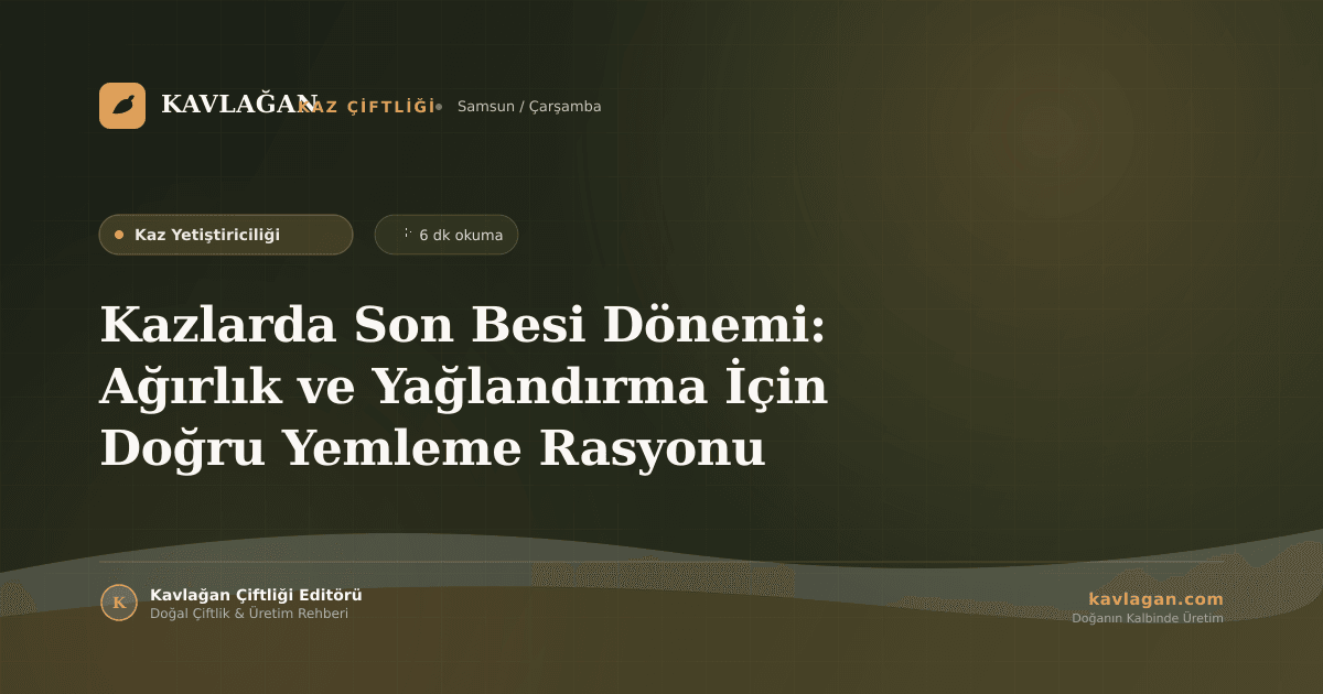 Kazlarda Son Besi Dönemi: Ağırlık ve Yağlandırma İçin Doğru Yemleme Rasyonu