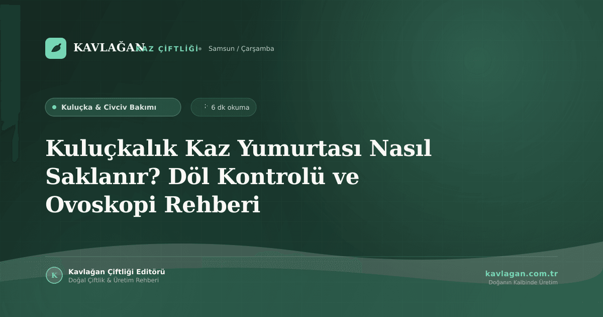 Kuluçkalık Kaz Yumurtası Nasıl Saklanır? Döl Kontrolü ve Ovoskopi Rehberi