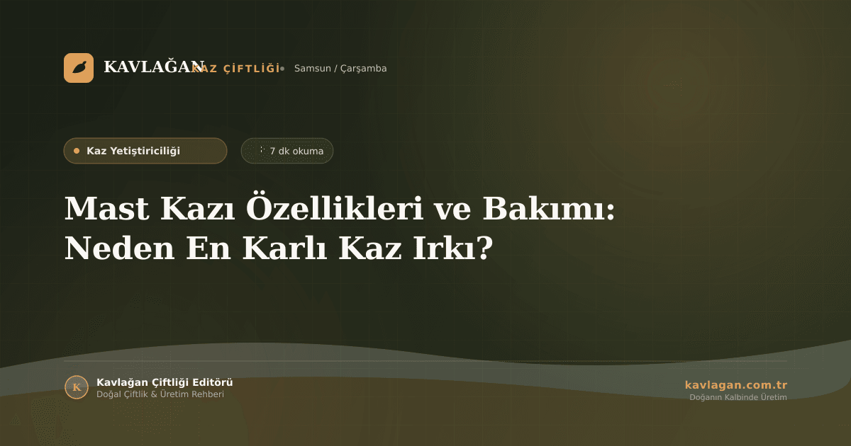 Mast Kazı Özellikleri ve Bakımı: Neden En Karlı Kaz Irkı?
