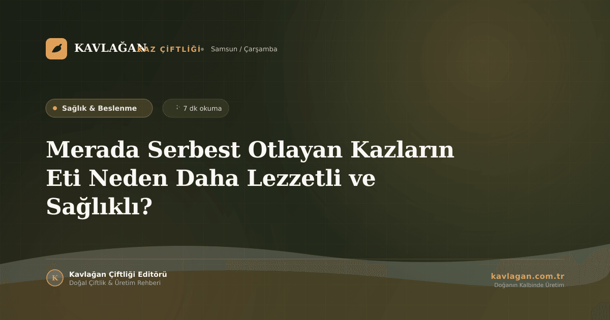 Merada Serbest Otlayan Kazların Eti Neden Daha Lezzetli ve Sağlıklı?